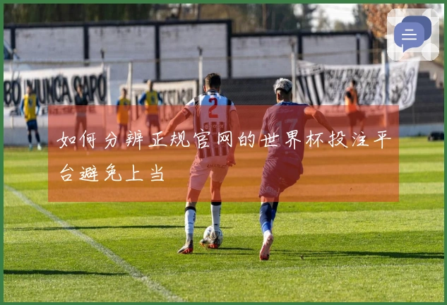如何分辨正规官网的世界杯投注平台避免上当